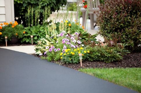 A new asphalt driveway alongside a beautiful garden of flowers